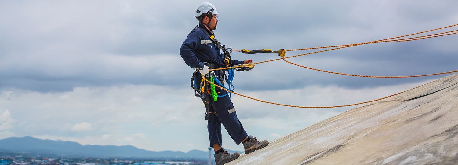 Worker Safety Harness